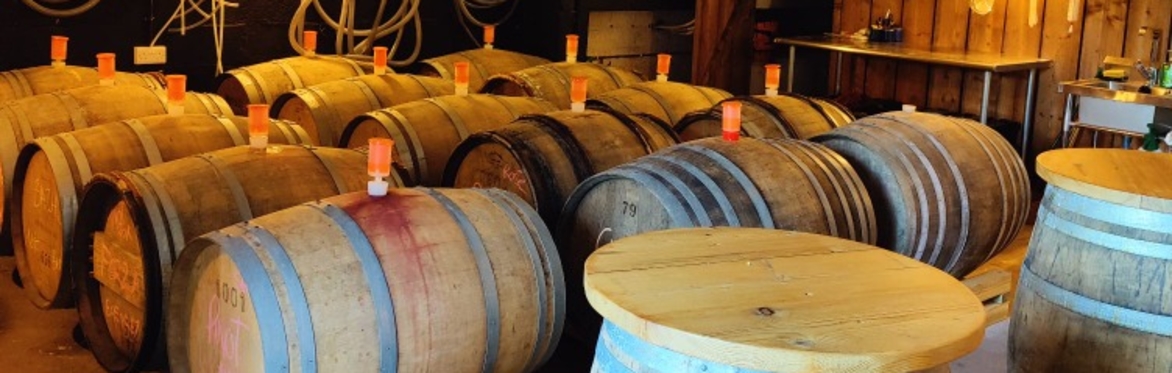 Room filled with wine barrels