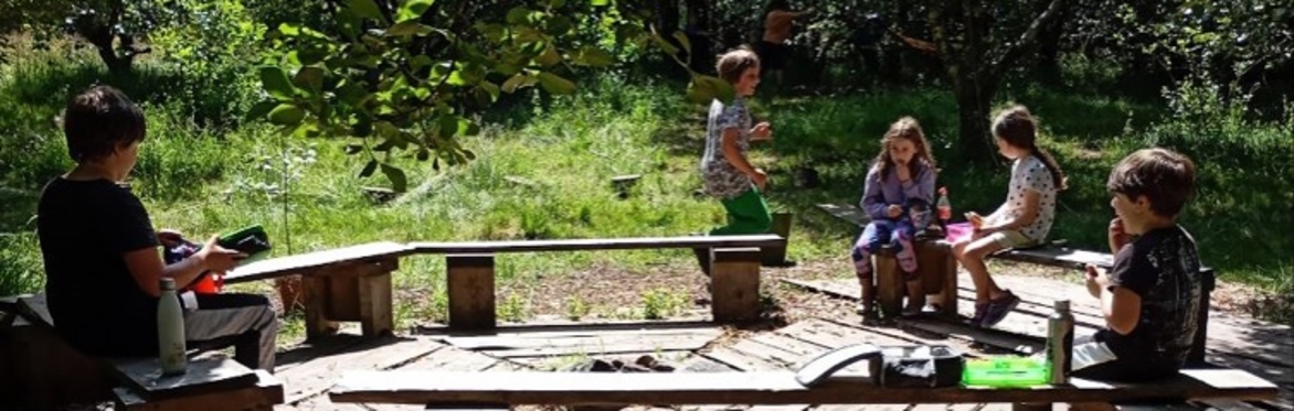 Summer Nature Camp (July)