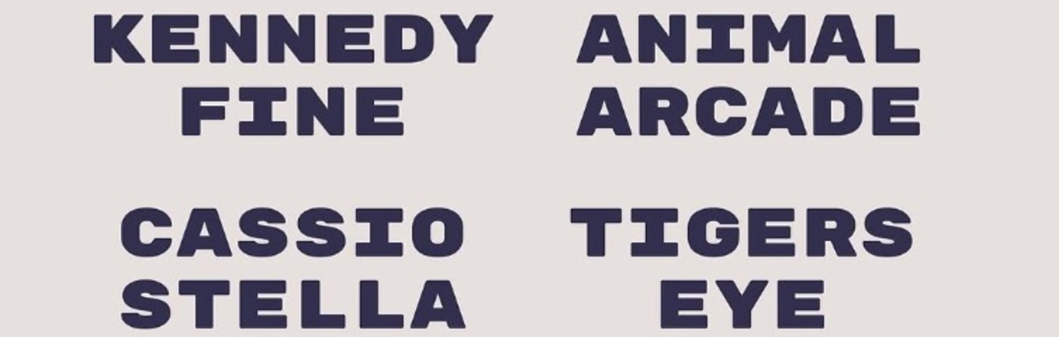 Kennedy Fine w/ Animal Arcade, Tigers Eye, and Cassio Stella at The Far Out Lounge