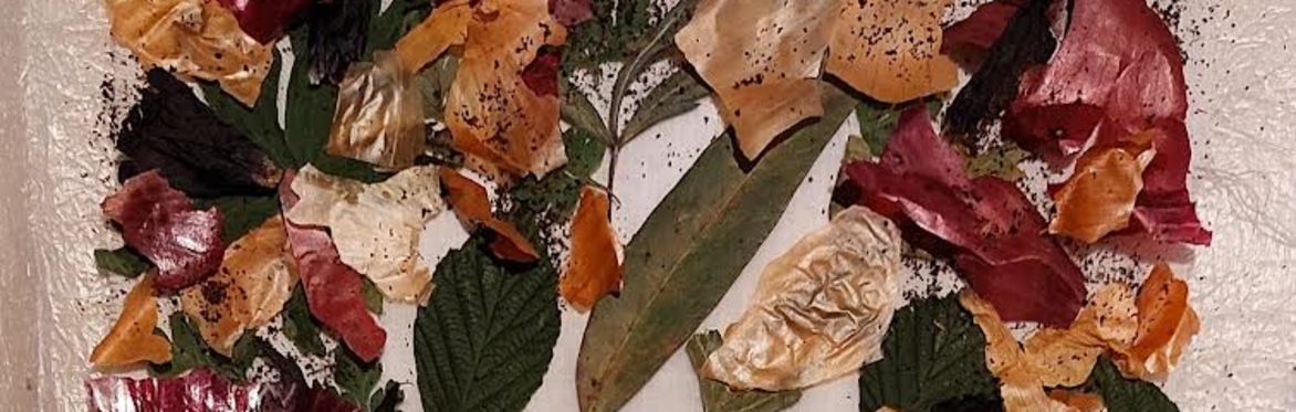 Eco-printing on fabric – let the plants do the work