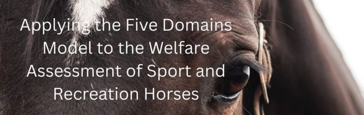 Applying the Five Domains Model to the Welfare Assessment of Sport and Recreation Horses