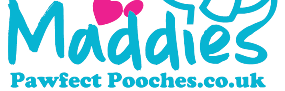 Sunday Adolescent class - start date 6th September 2026 - 10:45am-11:30am - WSM - 1st Milton Scout Hut