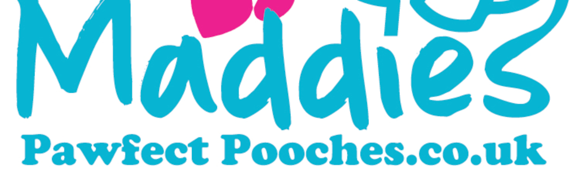 Sunday Puppy class - start date 6th September 2026 - 9:30am-10:15am - WSM - 1st Milton Scout Hut
