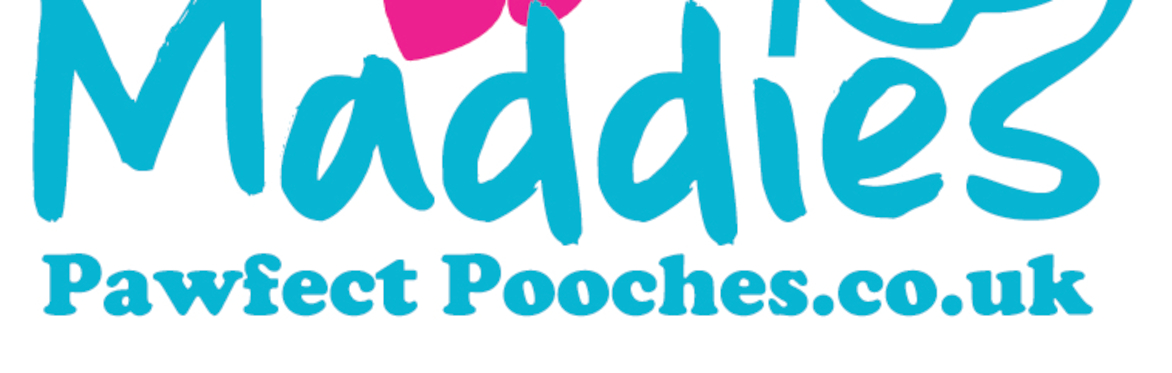 Puppy Class start date Sunday 23rd August 2026 - 9:30AM-10:15AM - WSM - Paws and Play Dog Day Care