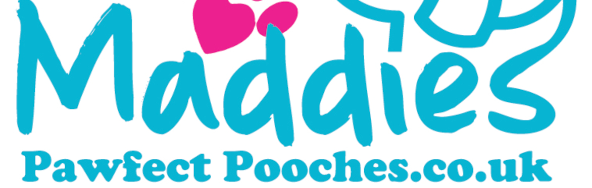 Saturday Puppy class -Start date 29th August 2026 - 9:30am-10:15am - WSM - Locking Castle Church