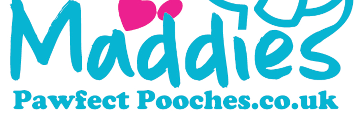 Sunday Puppy class - Start date 18th october 2026 - 9:30am-10:15am - WSM - 1st Milton Scout Hut