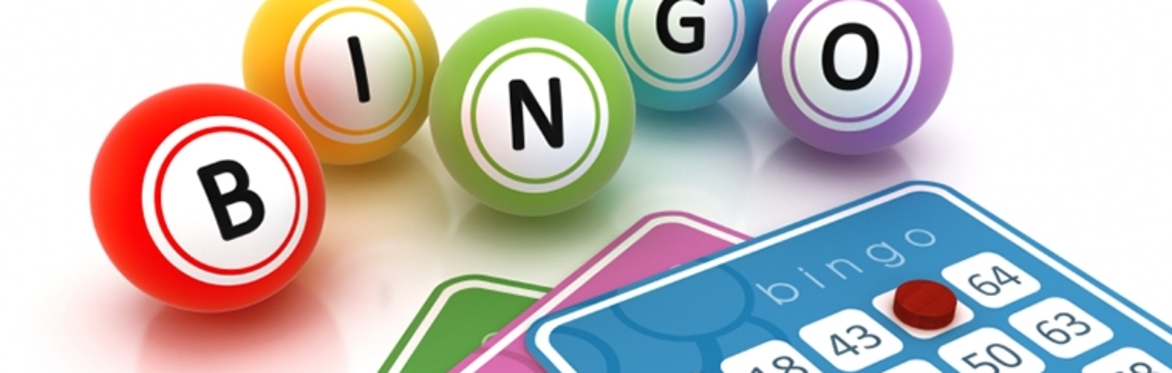 Bingo Dave - Firday 20th November starts at 8pm