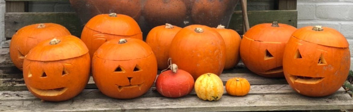 Pumpkin Carving Bonanza at The  Community Garden