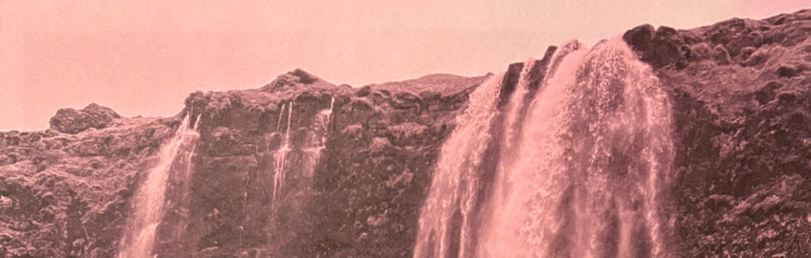 T40. Anthotypes. Historic Colour Plant Photographs with Victoria Ahrens