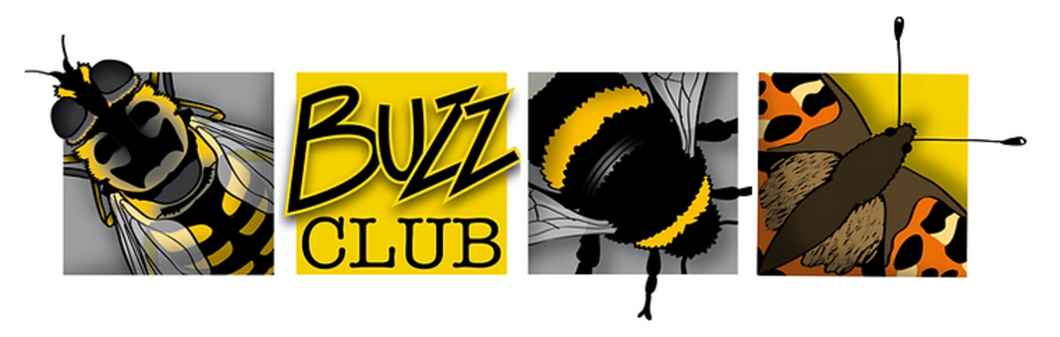 The Buzz Club in 2026!