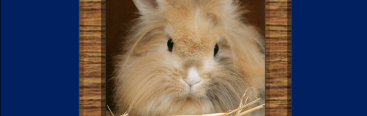 Hutch