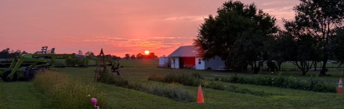 Serenity, Sunflowers, and Sunsets.