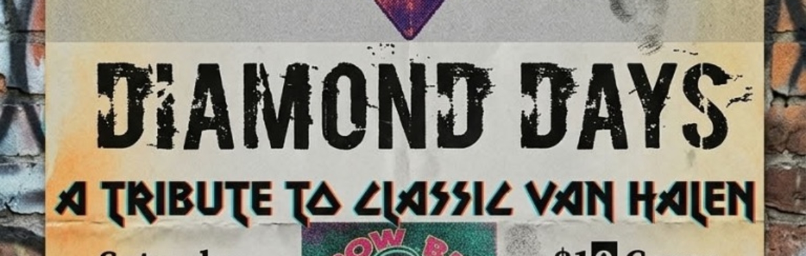 Diamond Days Van Halen Tribute