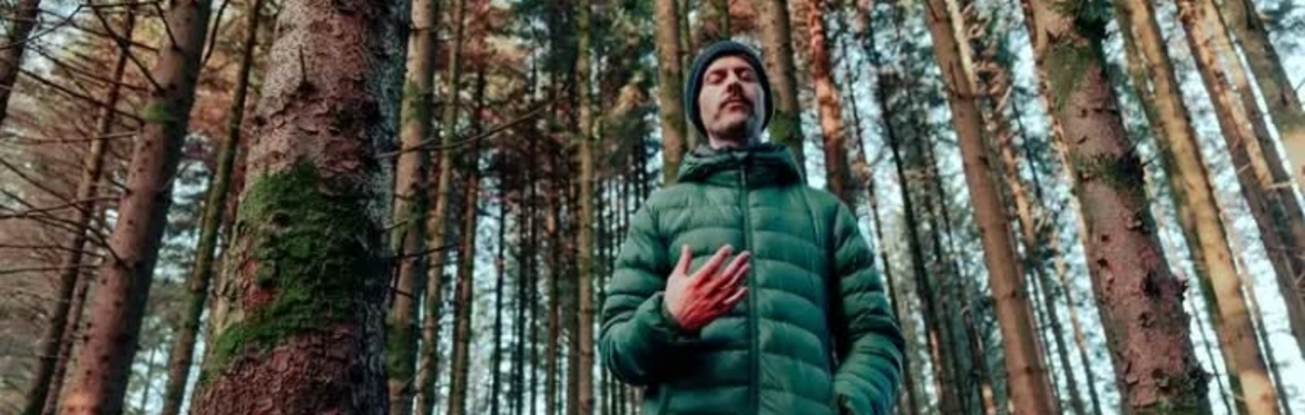 Guided Forest Meditation @ Zen in the Glen