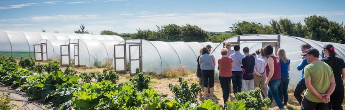 FARM WALK - The Art of Growing