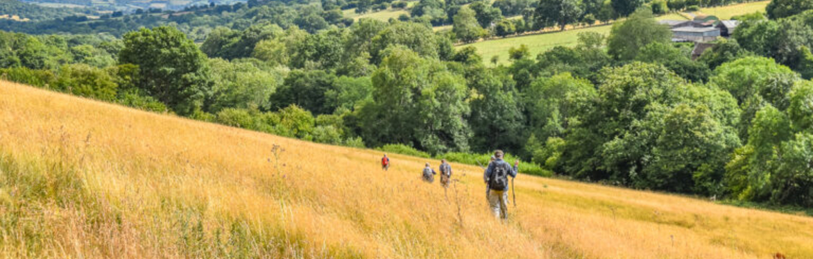 Golden Valley Pilgrim Way: 7 Days