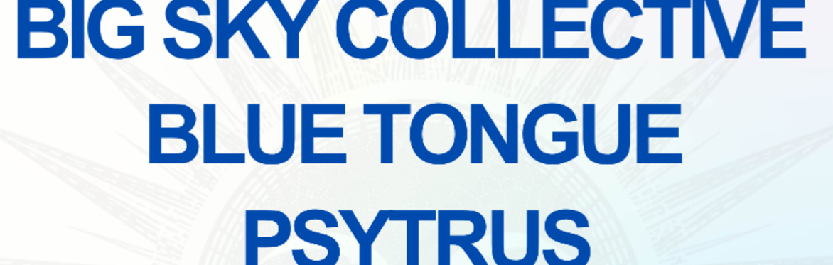 Big Sky Collective w/ Blue Tongue and Psytrus at The Far Out Lounge
