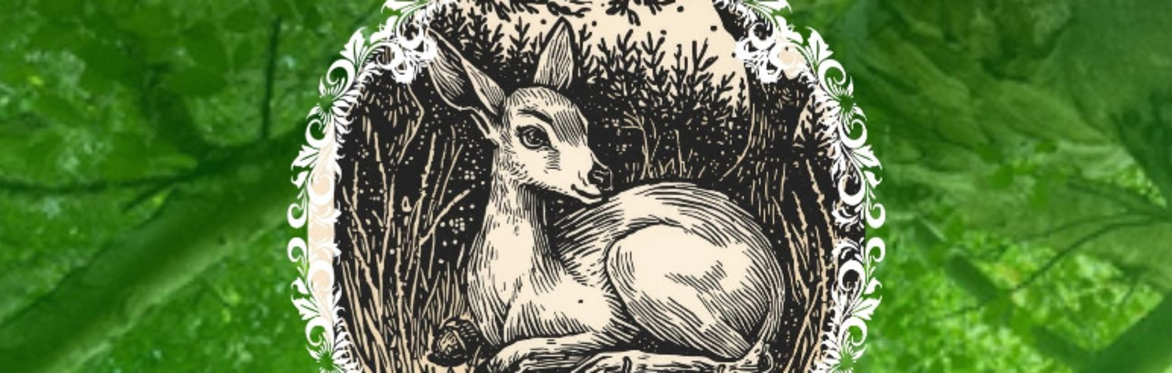 The Once and Future Forest: Restorying our wild imagination