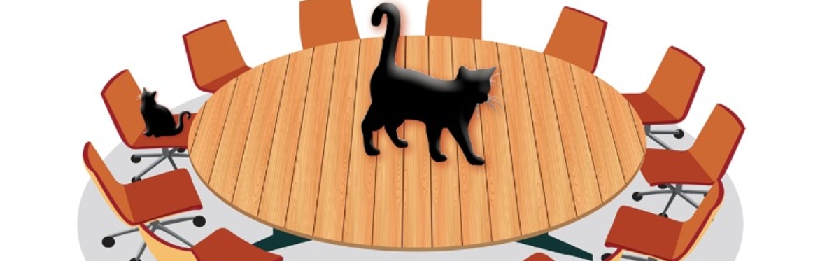 Black cat sitting in the center of a large round table with 12 chairs