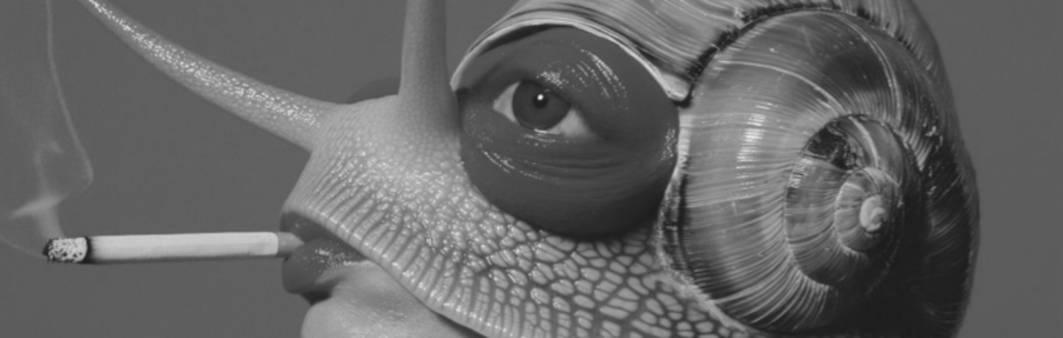 surreal masquerade