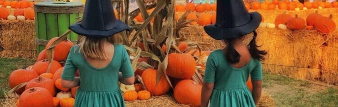 Pumpkin Patch 🎃