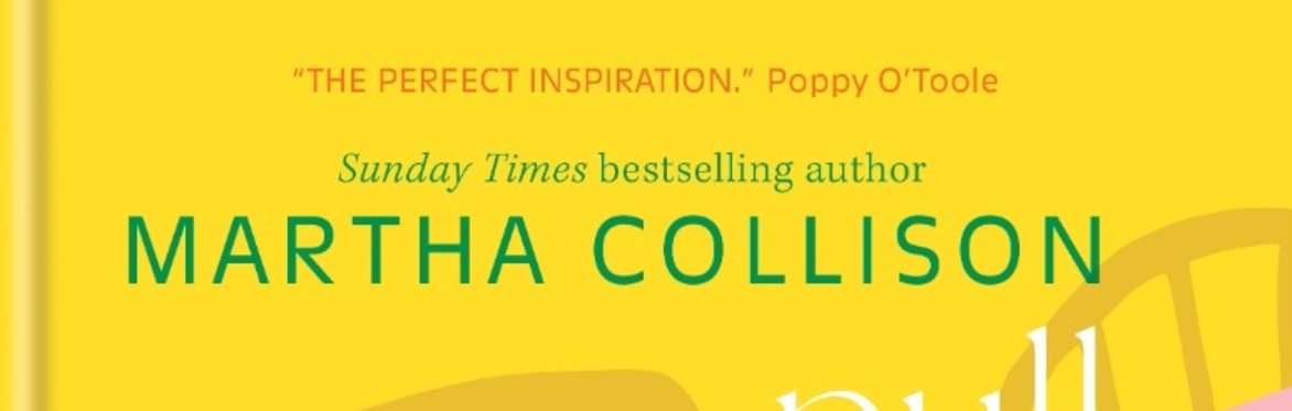 Pull Up a Chair by Martha Collison