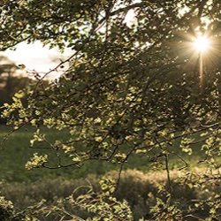Outdoor Image - Coaching with The Complete Leader