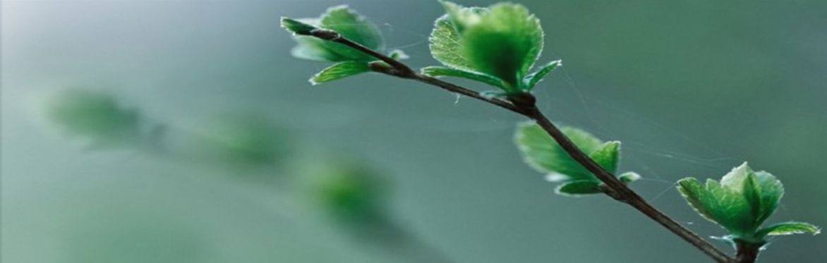 AKESO 2024- An Integrated approach to Lyme for natural healthcare practitioners- 12 CPD Points- WEBINAR SPACES