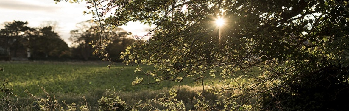 Outdoor Image - Coaching with The Complete Leader