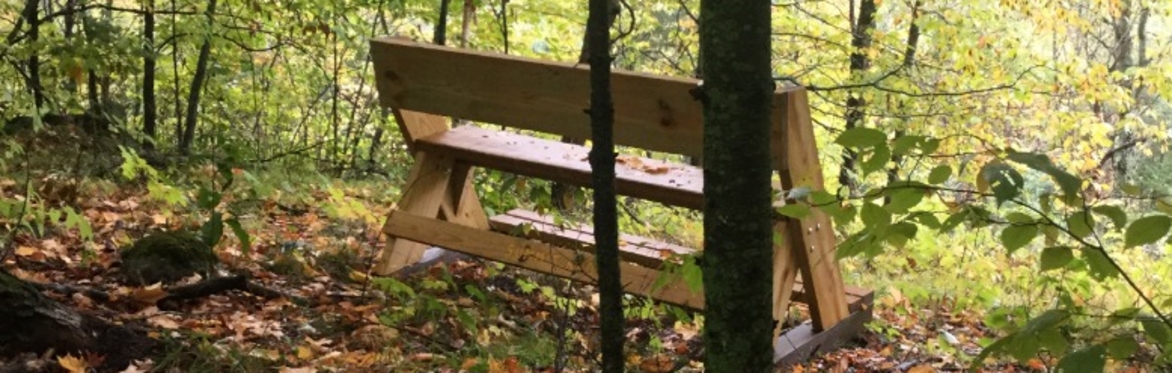 Summit bench