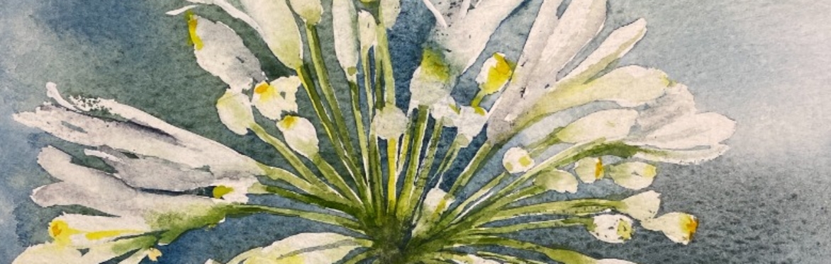 Watercolour: Flowers in Focus