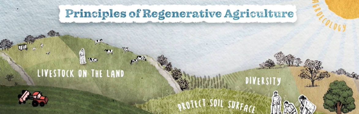 Film Night / Noson Ffilm - Six Inches of Soil