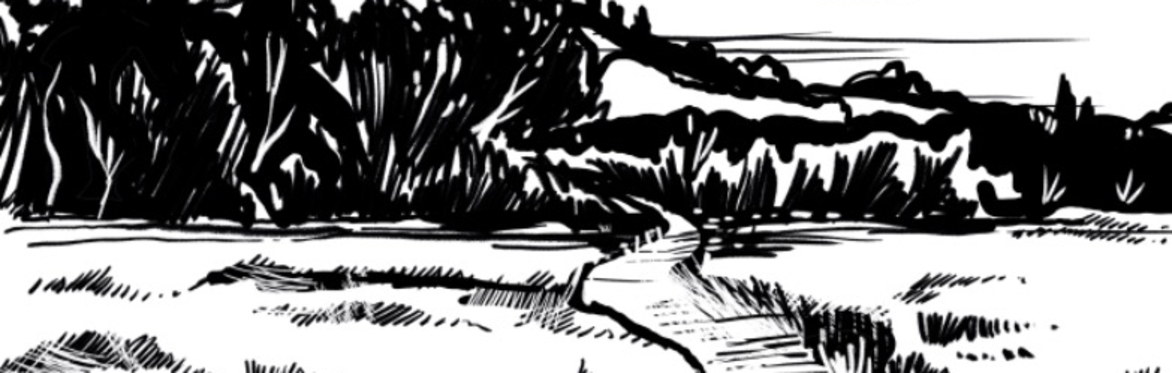 Nature Rights