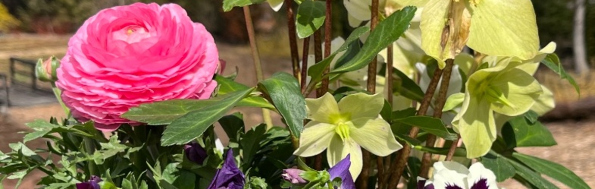 Springtime Planters