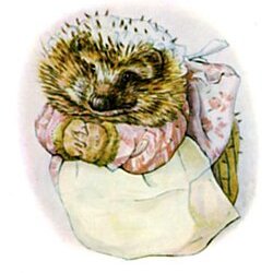 Meet Mrs Tiggy-Winkle with Mud Pie Arts at Strensall Library