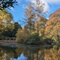 View of the lake on Grosvenor and Hilbert Park