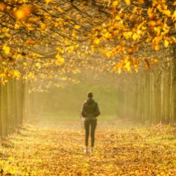 Healing The Heart - Awayday Retreat