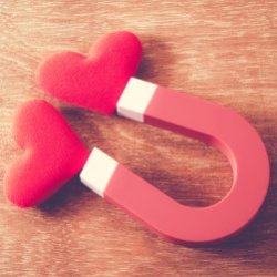 Love and Connection