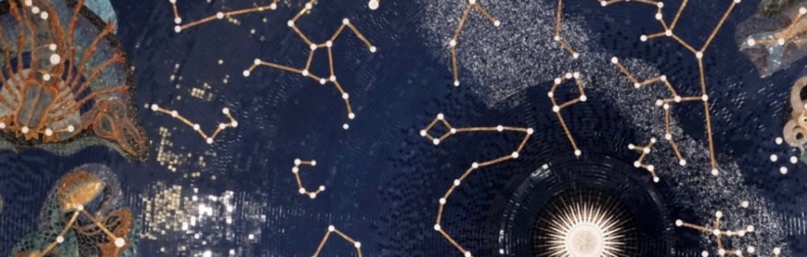 A Night with the Stars: How to read your natal chart