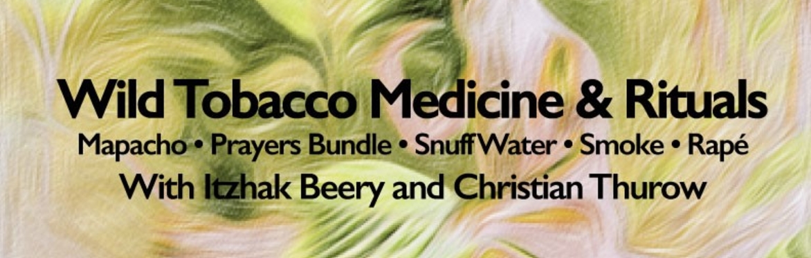 Wild Tobacco Medicine & Rituals with Itzhak Beery and Christian Thurow
