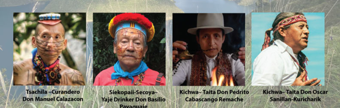 Ecuador’s Ancestral Medicine - Four Shamans: Tsachila, Siekopaii, and Kichwa