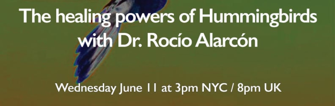 The Healing Powers of Hummingbirds: Ancestral Wisdom for Modern Times With Dr. Rocío Alarcón