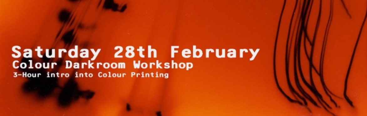 Colour Darkroom Workshop - Learn the Basics of Colour Hand Printing