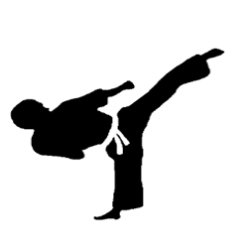 MIA Monthly Taekwondo (Tuesdays at Pioneer)