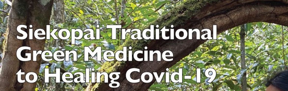 Siekopai Traditional Green Medicine to heal Covid-19