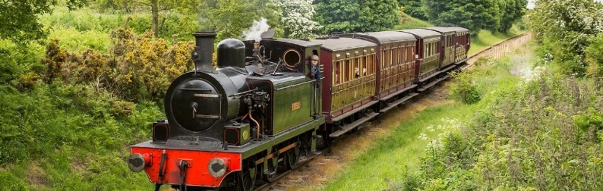**ONLINE SALES CLOSED - CONTACT US** Pipers' Picnic on the Tanfield Railway