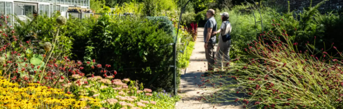 Ageing Well Festival: Garden Tour & Tea & Cake