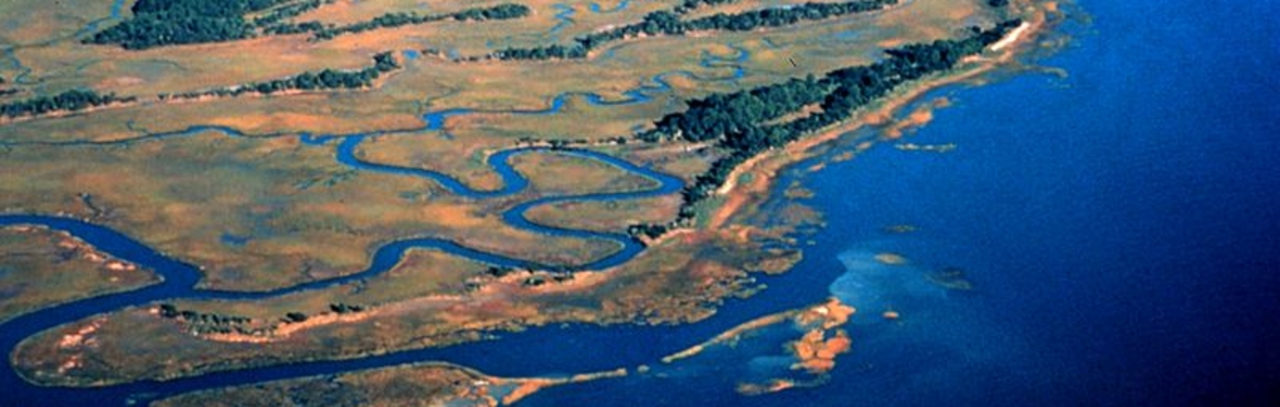 Energy Laws, Power Plant, Pipeline: LWVCA Environmental Presentation (with optional Oct 8 Field Trip to ACE Basin)