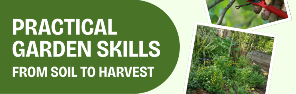 Practical Garden Skills: From Soil to Harvest