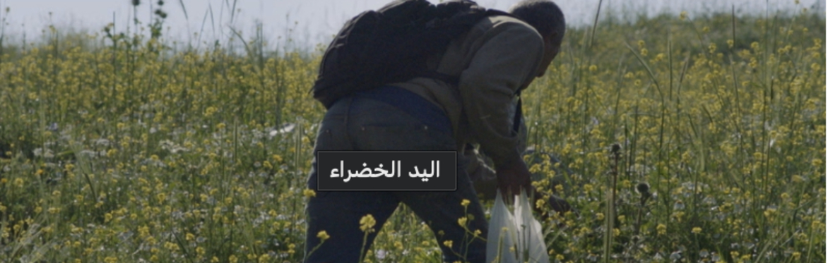 Palestine Cinema Day